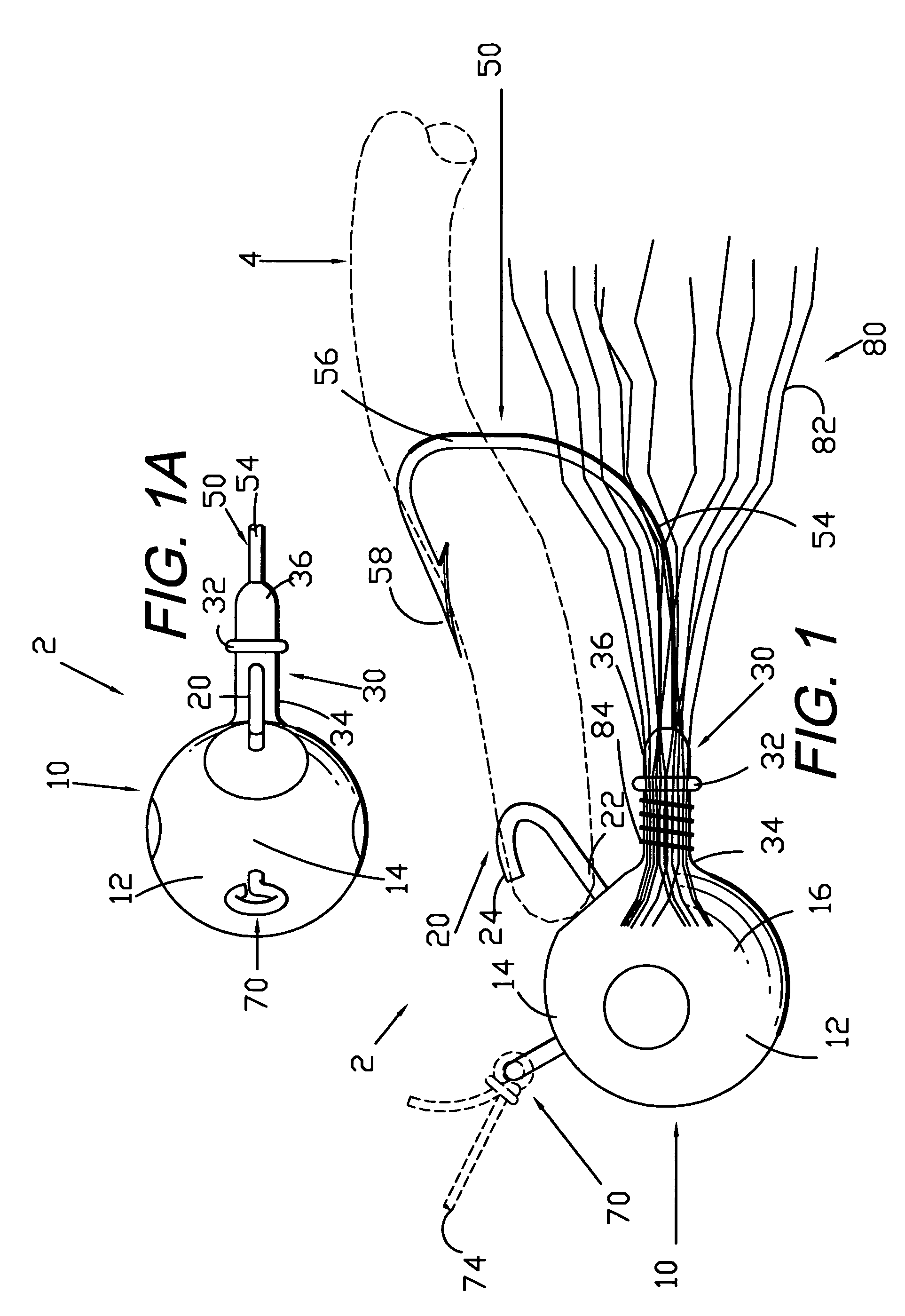 Jig and bait system