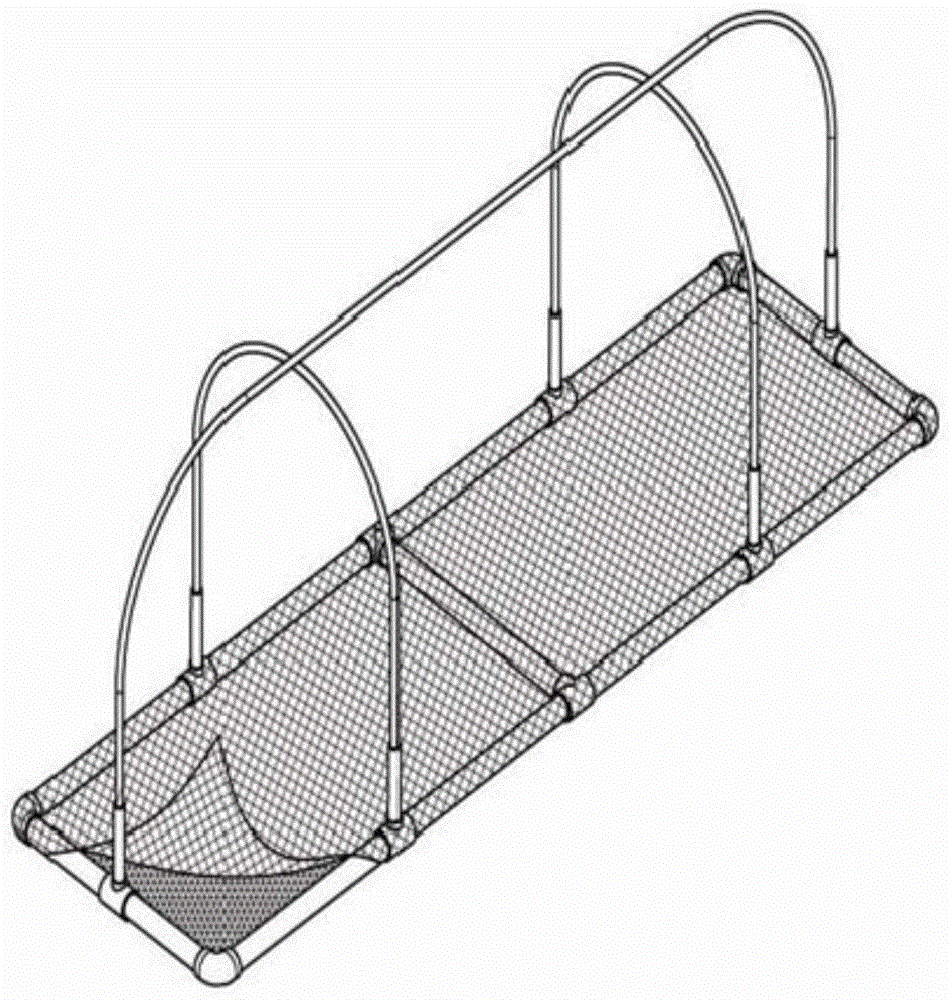 Fish and vegetable co-existing planting and breeding method