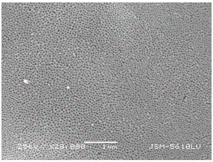 Preparation method of metal/aluminum oxide solar selective absorption coating material