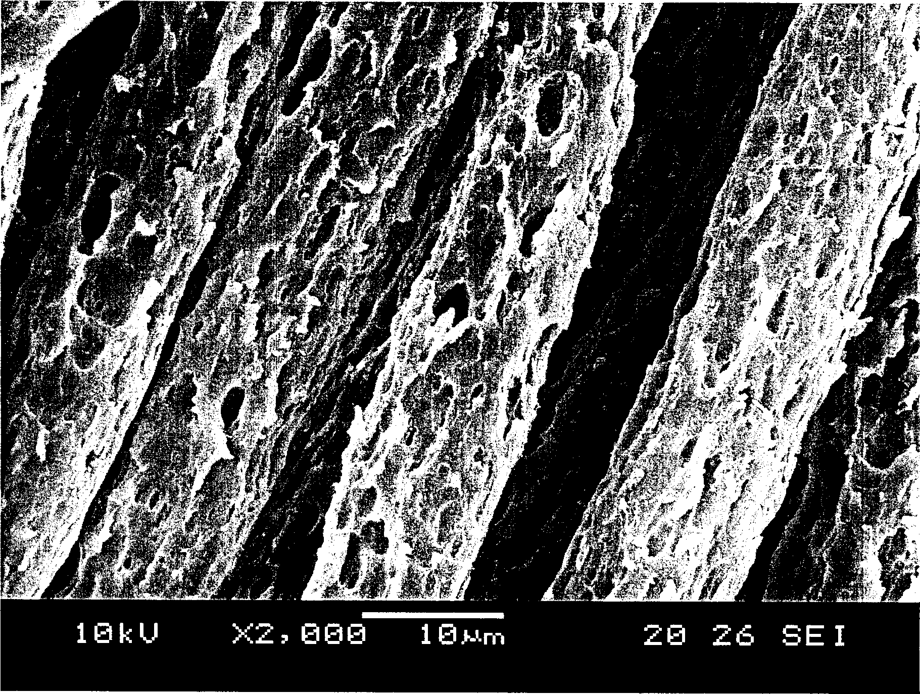 Polyester composition and its uses