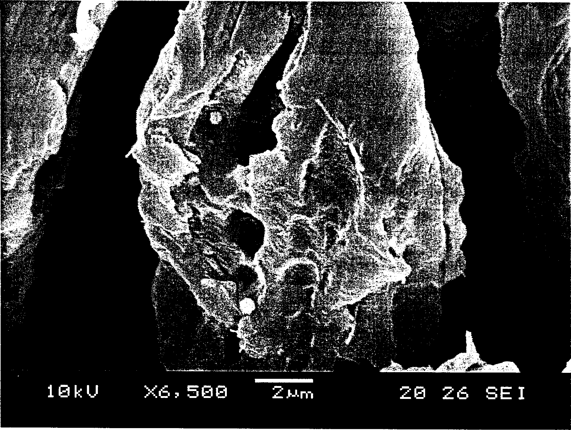 Polyester composition and its uses