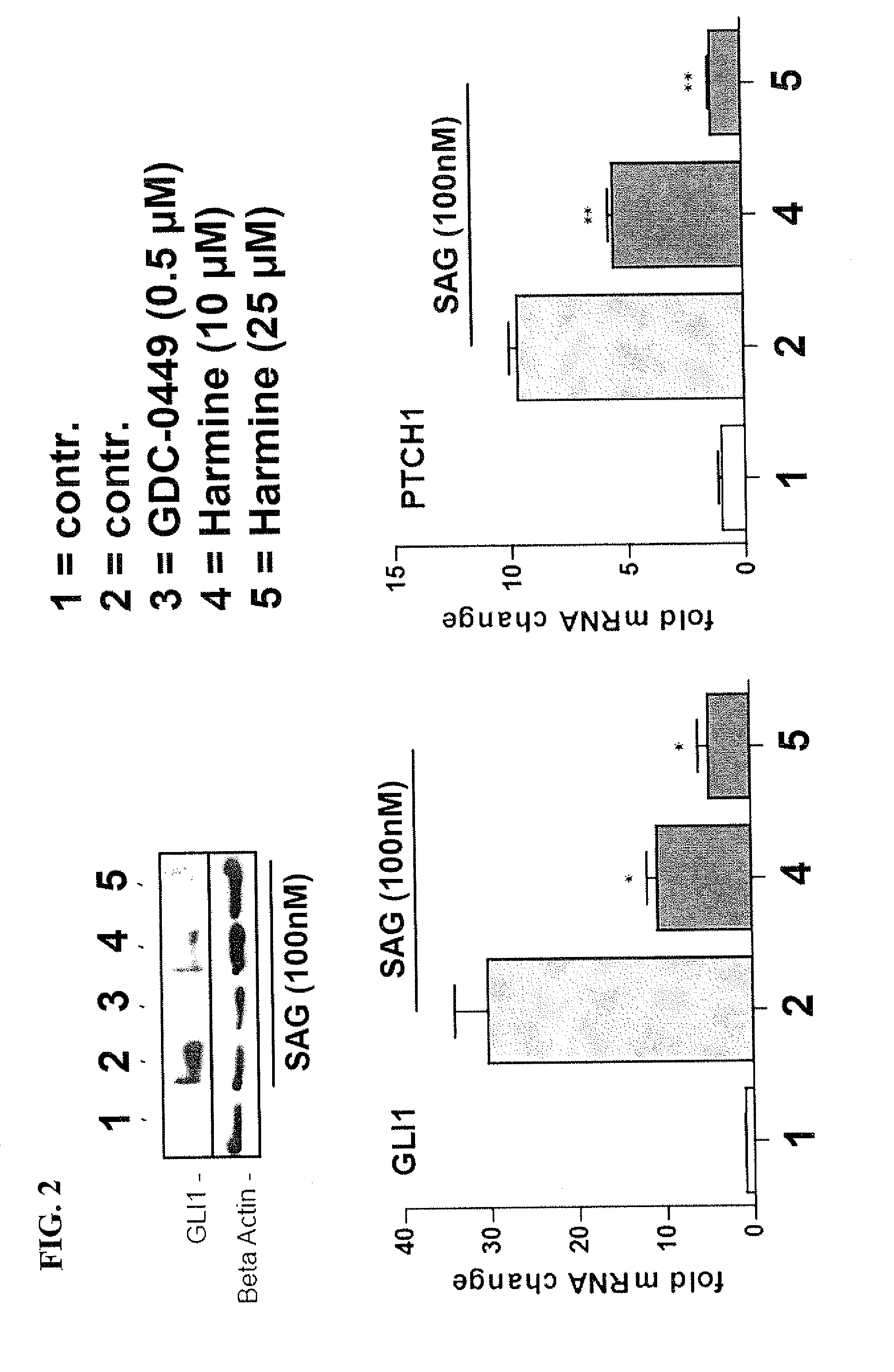 Method of inhibiting dyrk1b