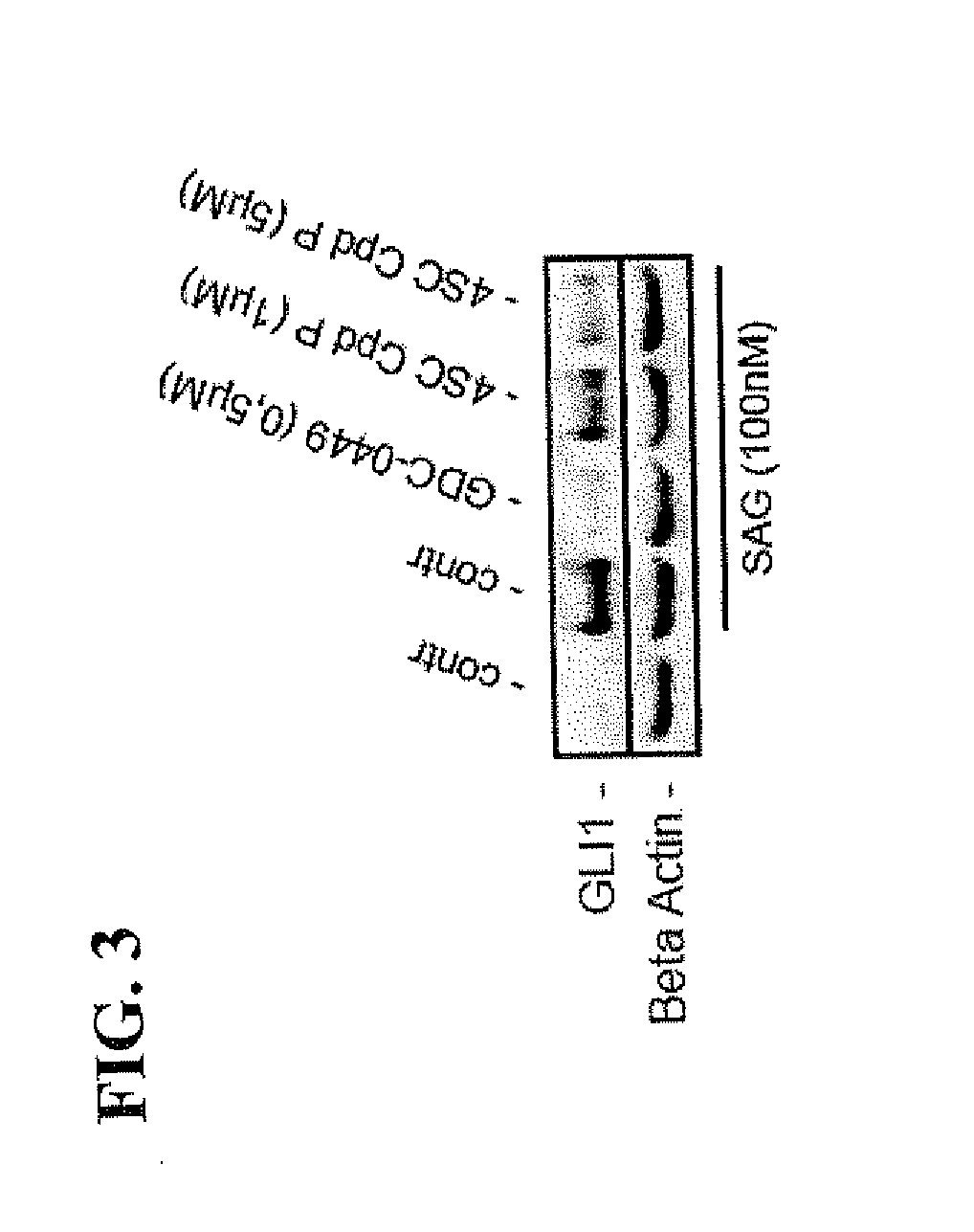 Method of inhibiting dyrk1b