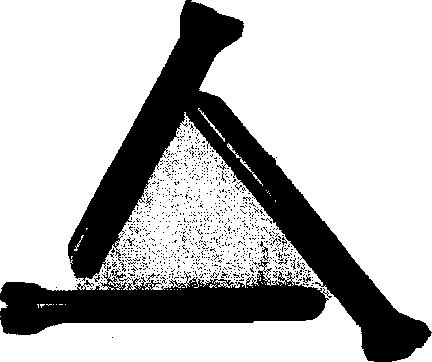 Nano carbon tube reinforced plastics/ceramics-base composition for repairing bone