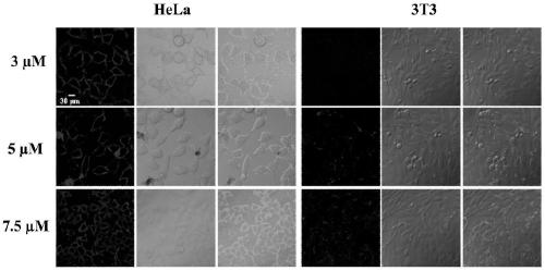 Membrane-targeted photosensitizer capable of realizing photodynamic therapy as well as preparation method and application thereof