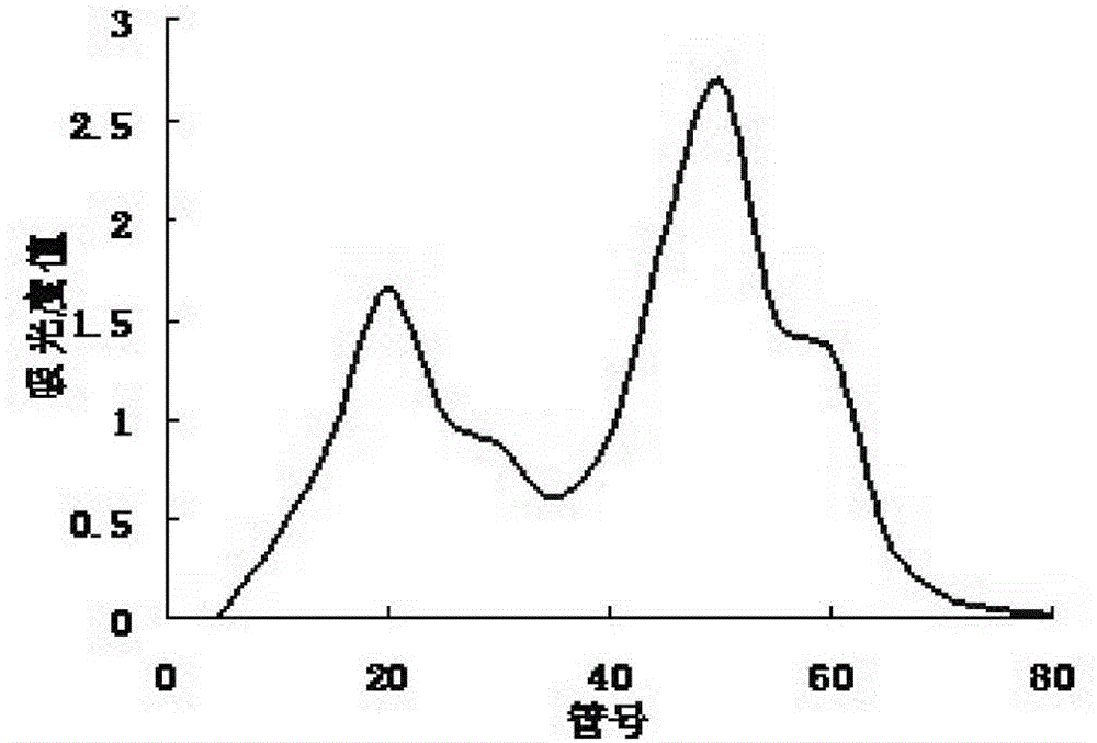 Pearl natural active peptide having whitening efficacy, and extraction method and application thereof