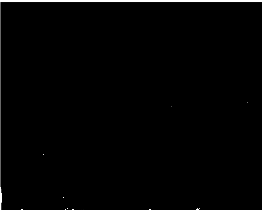 Polylactic acid (PLA) medicinal polymer with hexagonal columnar porous structure