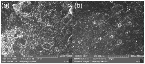 Graphene waterborne epoxy composite coating applicable to high-chlorine saturated carbon dioxide environment, and preparation method and application thereof