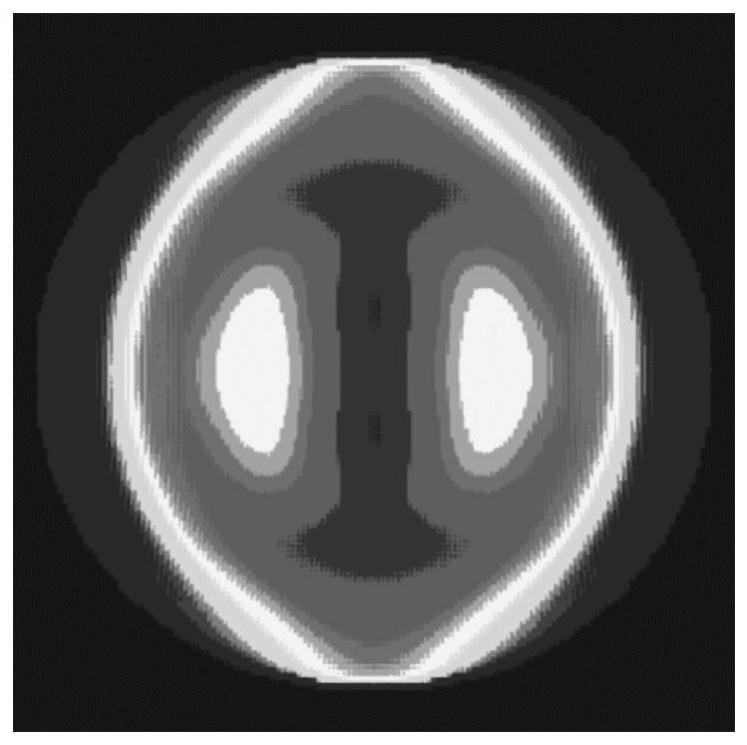 Method of calculating Ronchi shear interference image in photoetching projection objective