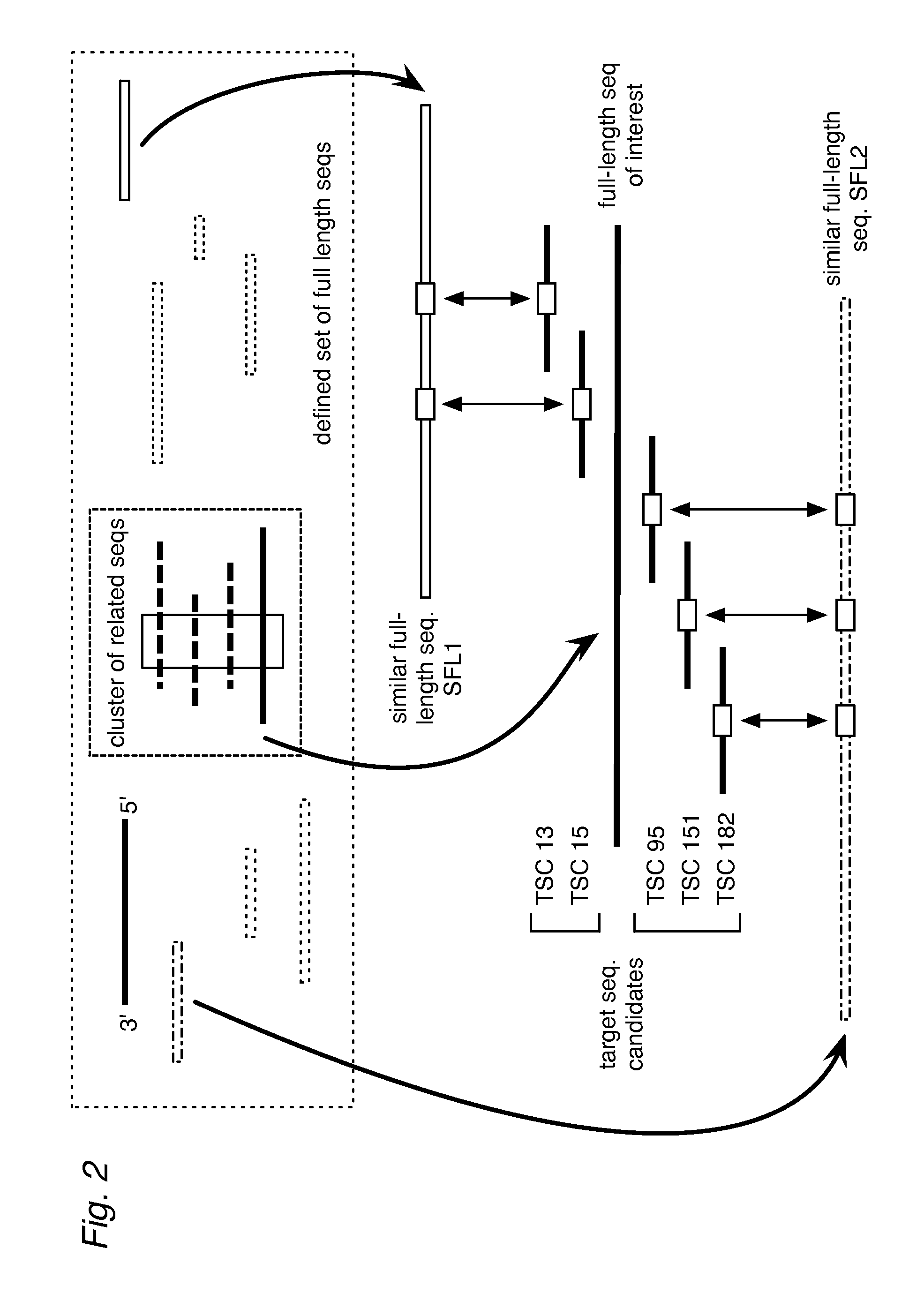 Profiling Expression at Transcriptome Scale