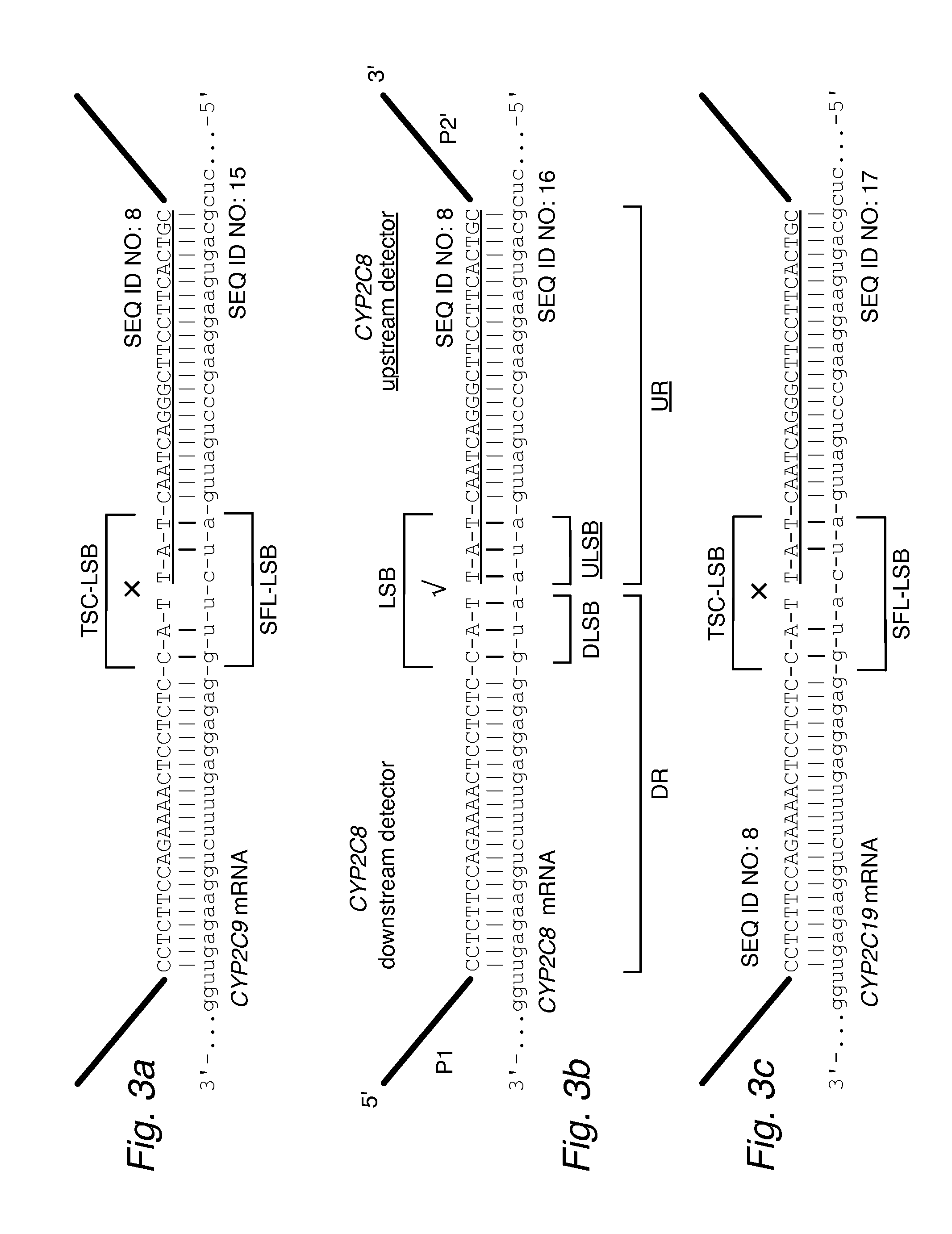 Profiling Expression at Transcriptome Scale