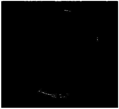 Degradable filtration and sterilization membrane and preparation method