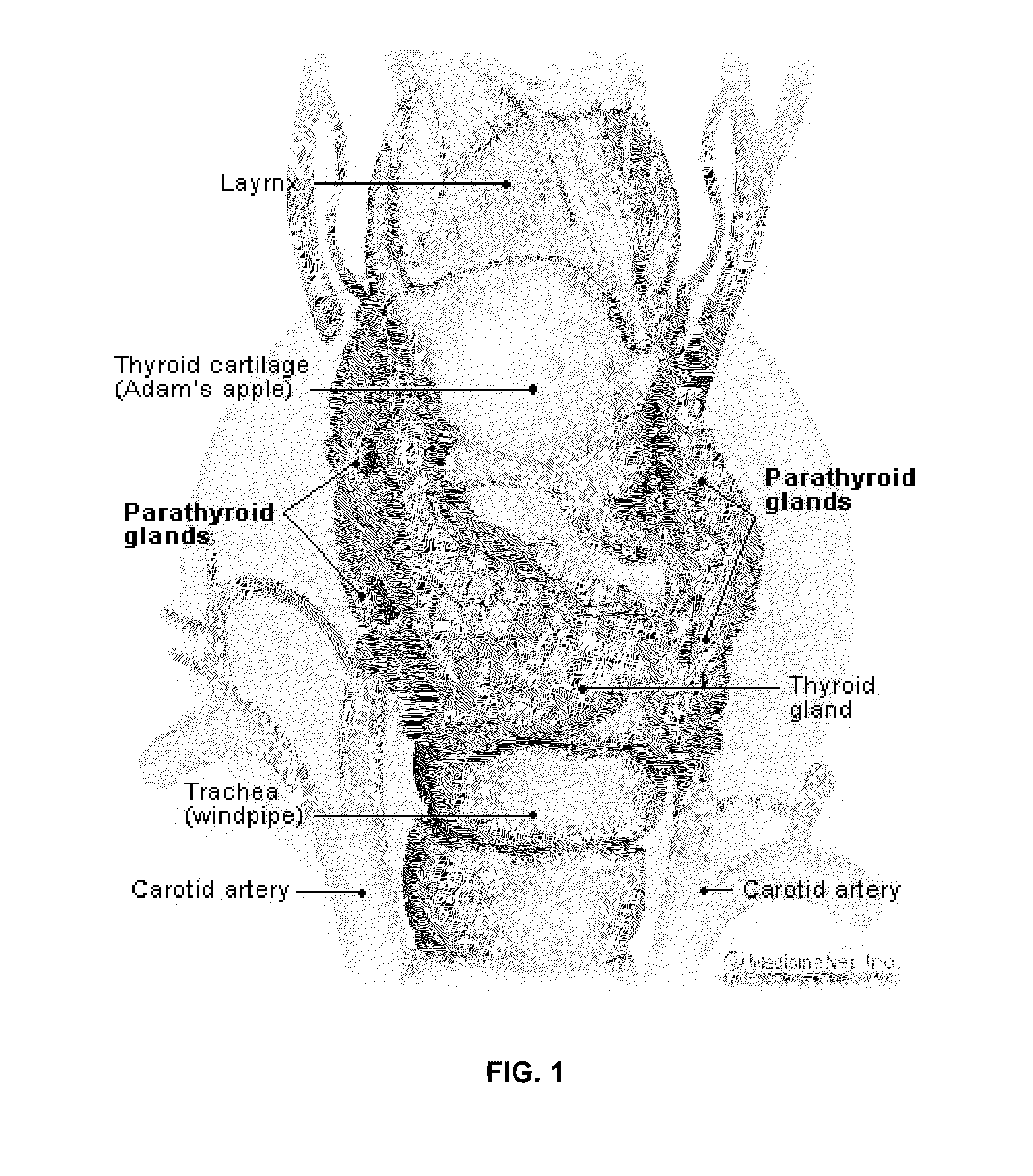 Intra-operative use of fluorescence spectroscopy and applications of same