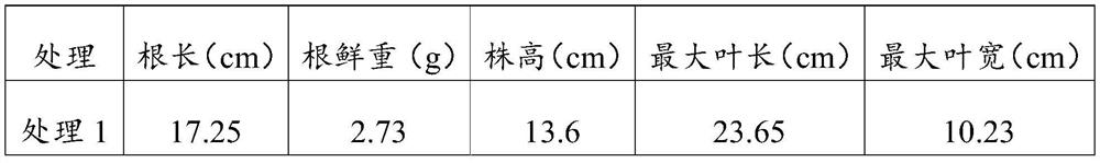 Microbial fertilizer with function of promoting growth of tobacco plants as well as preparation method and application of microbial fertilizer