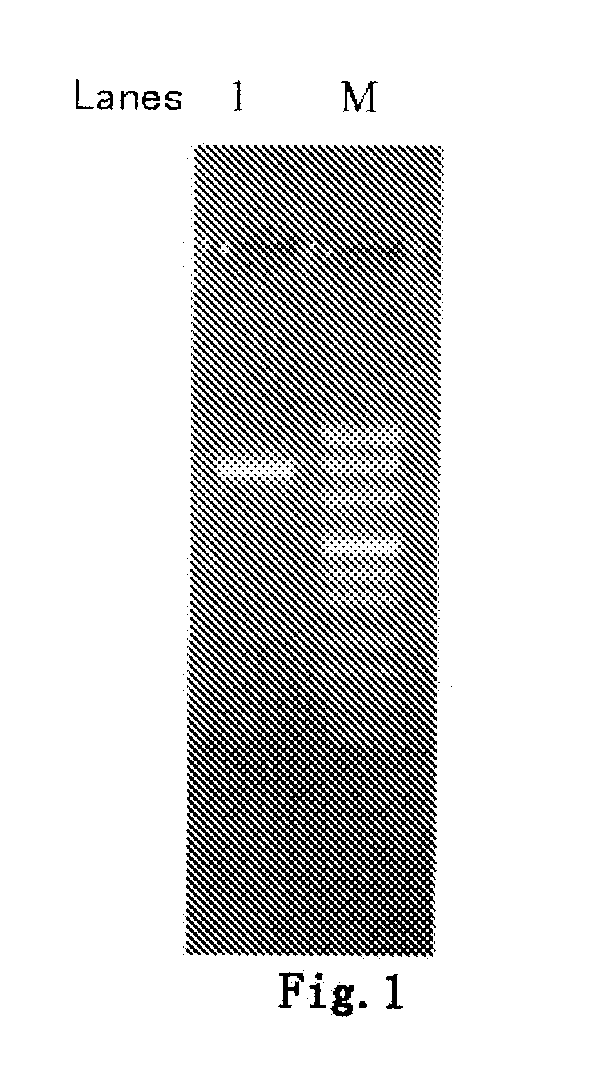 Method of secretory expression of lysostaphin in escherichia coli at high level