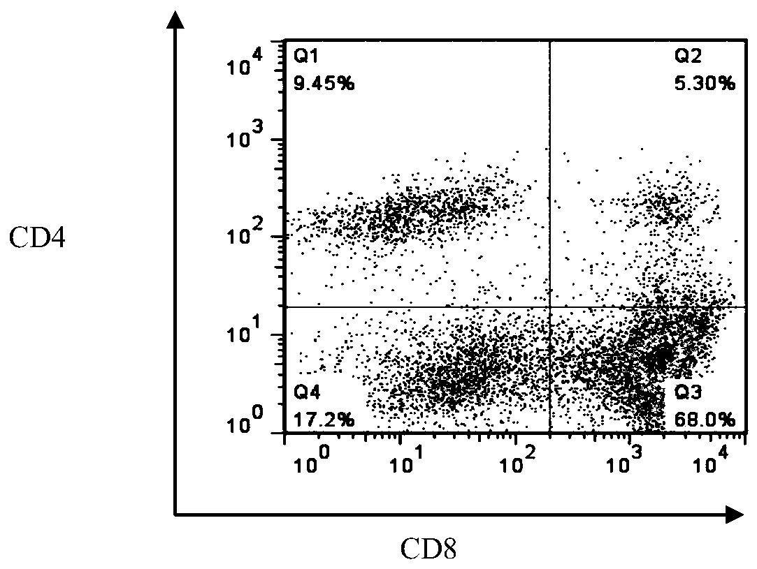 Method for constructing MRFFT1 cell