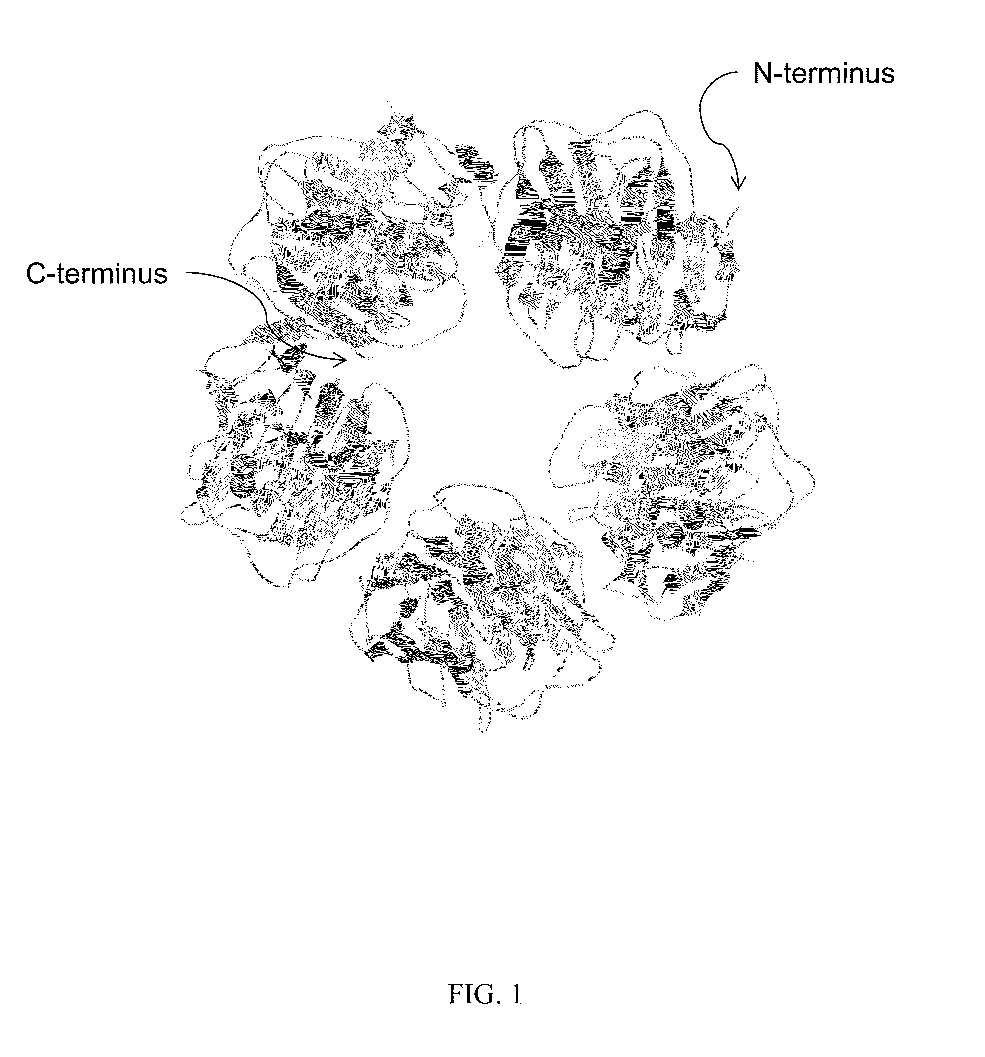 Serum amyloid p-antibody fusion proteins