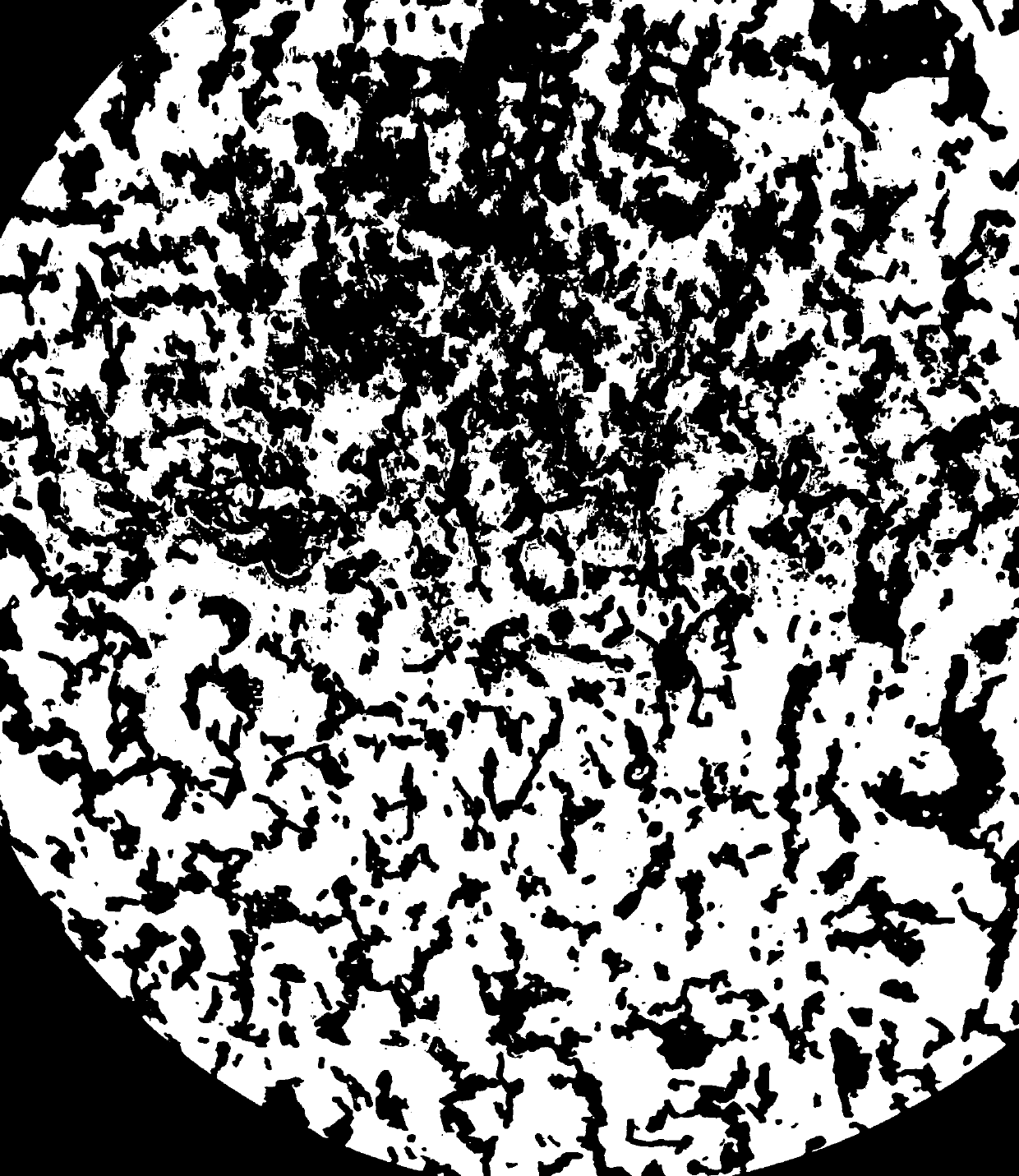 Bacillus licheniformis HYT-9 with broad-spectrum bacteriostasis activity and preparation method and application of bacterial agent of bacillus licheniformis HYT-9