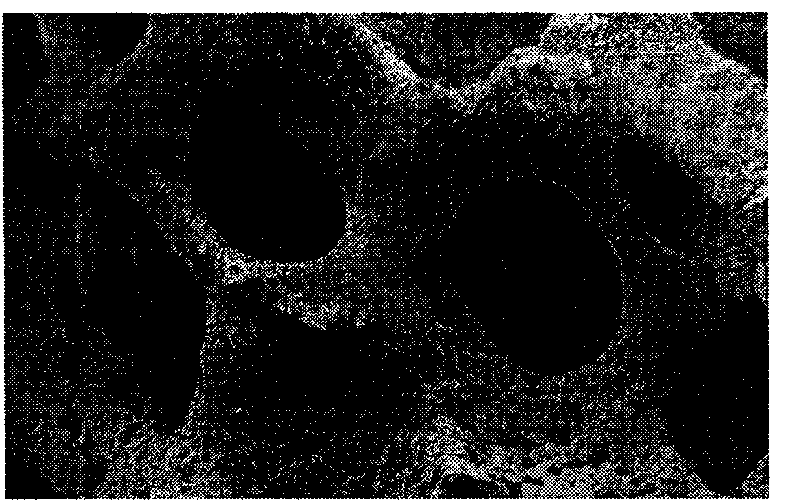 High-intensity porous bone repair material and method for preparing same