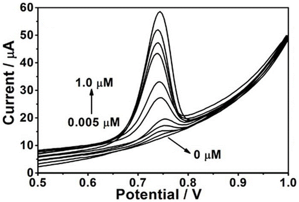 Method for detecting amaranth in food by using porous graphene