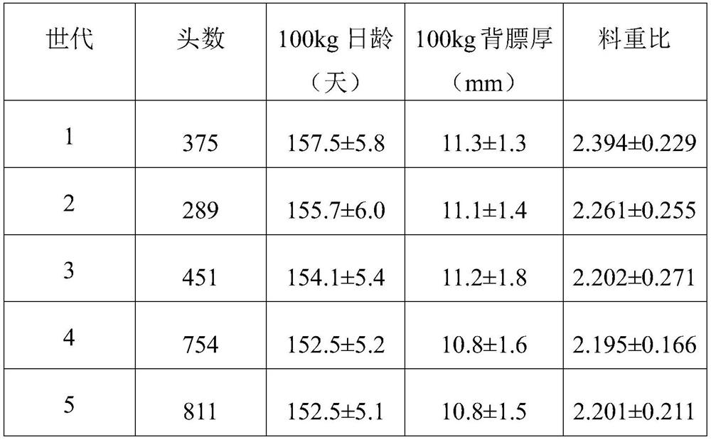 A kind of breeding method of high-yield breeding pig