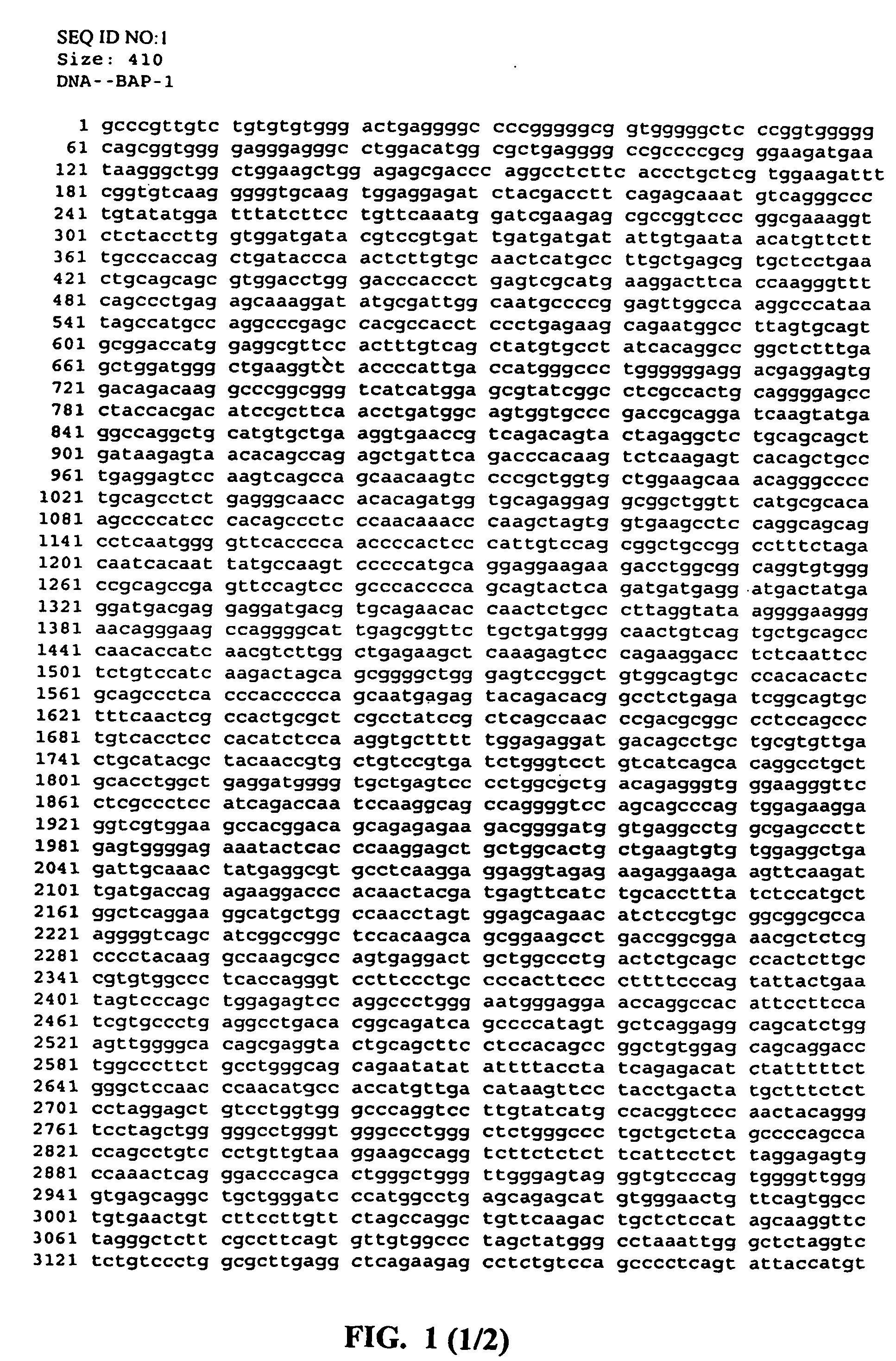 Methods of assaying for cell cycle modulators