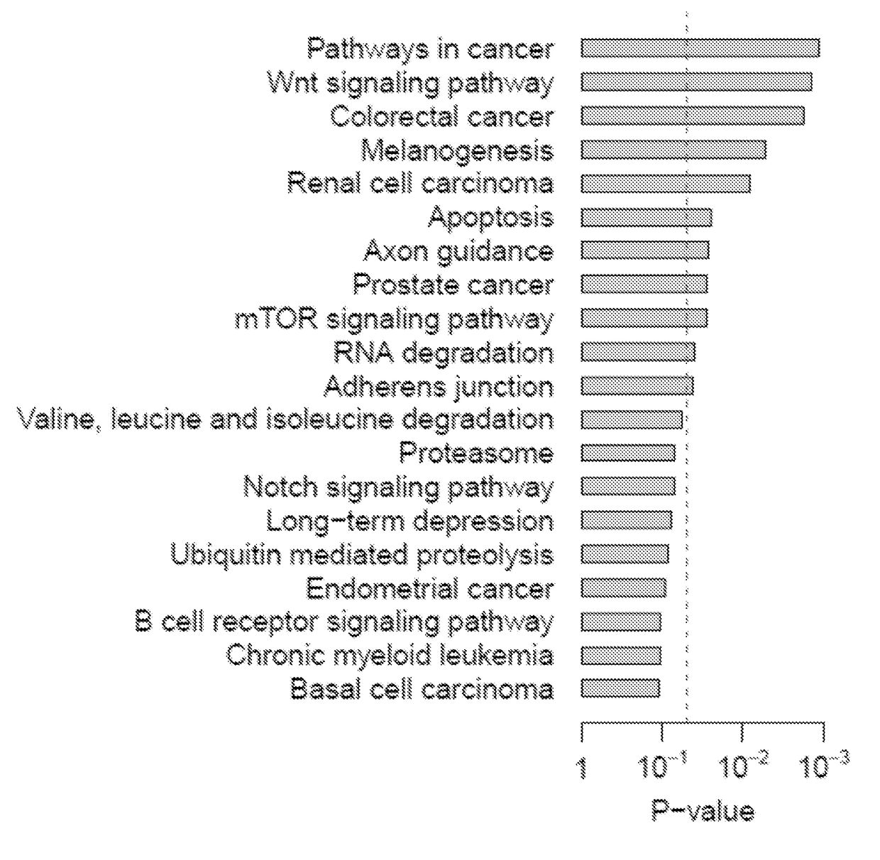 Systems and methods for characterizing cancer