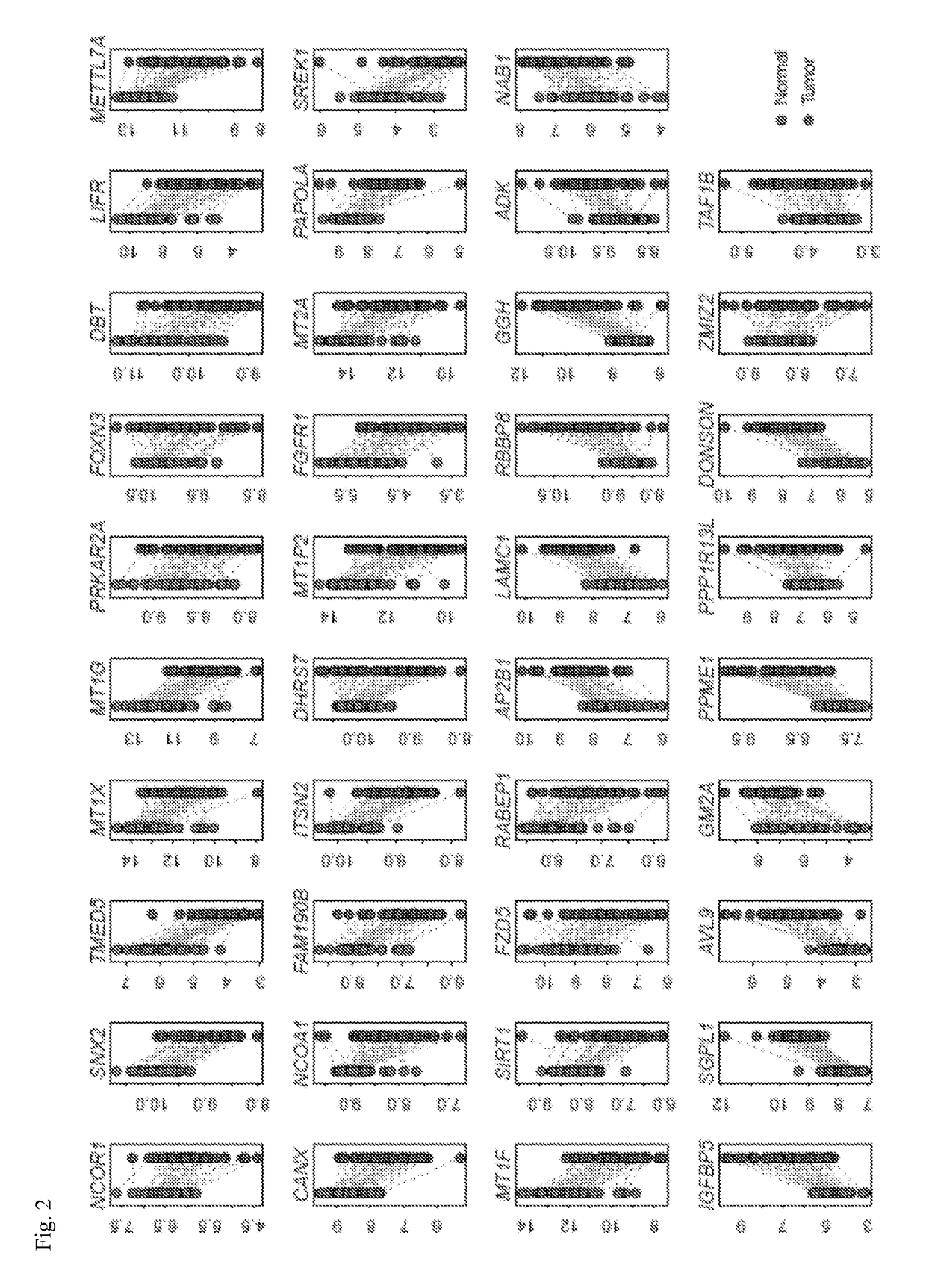 Systems and methods for characterizing cancer