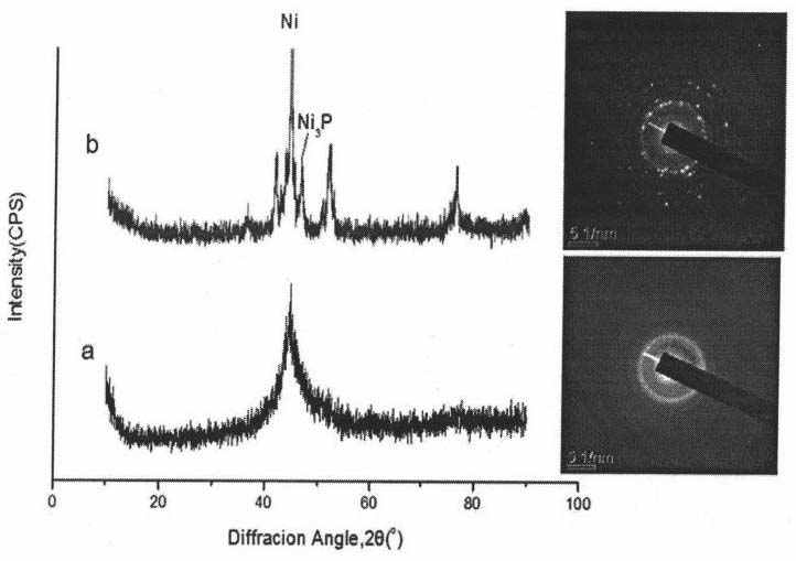 Coating method of high-density Ni layer of carbon nano tube