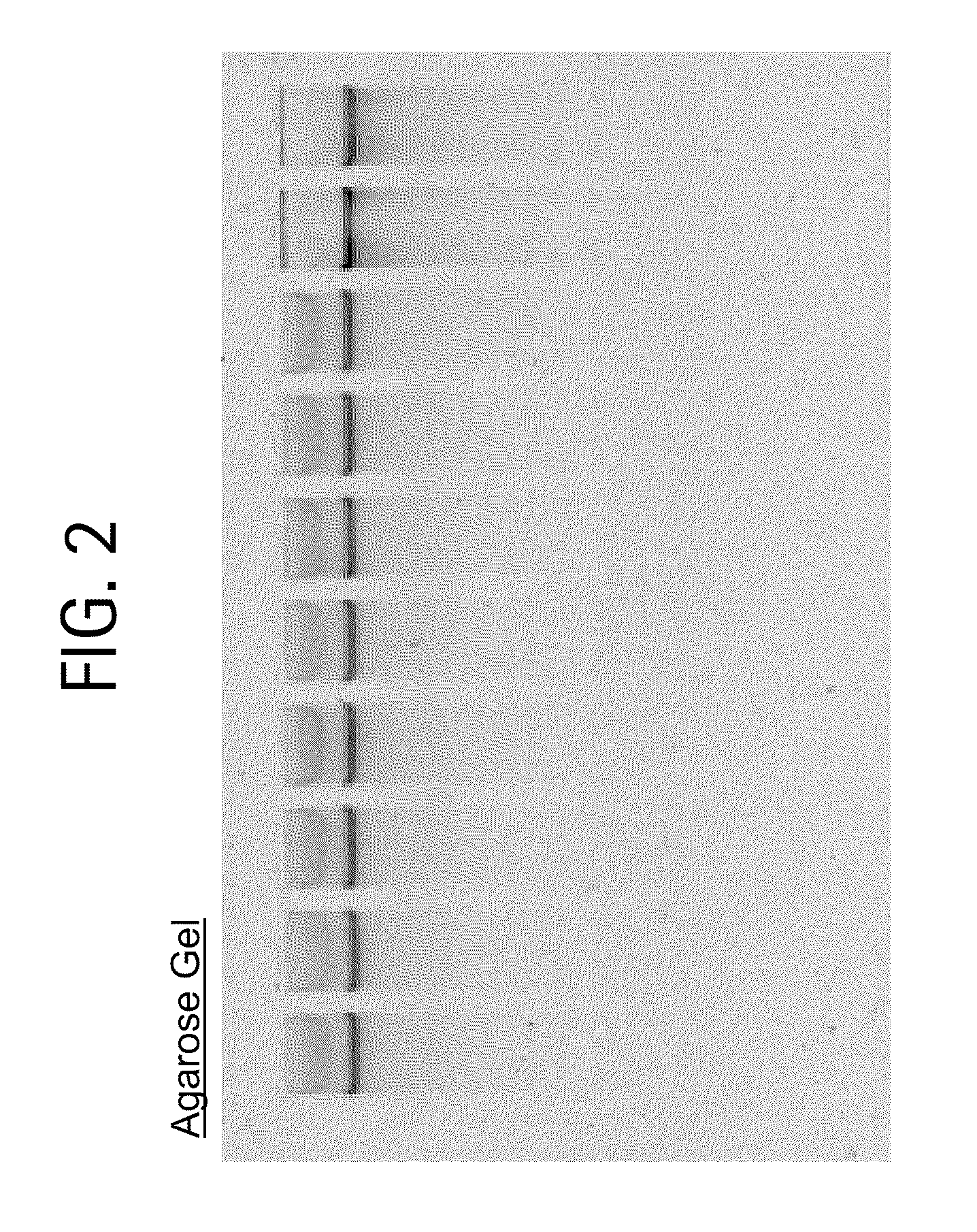 Nucleic acid purification method