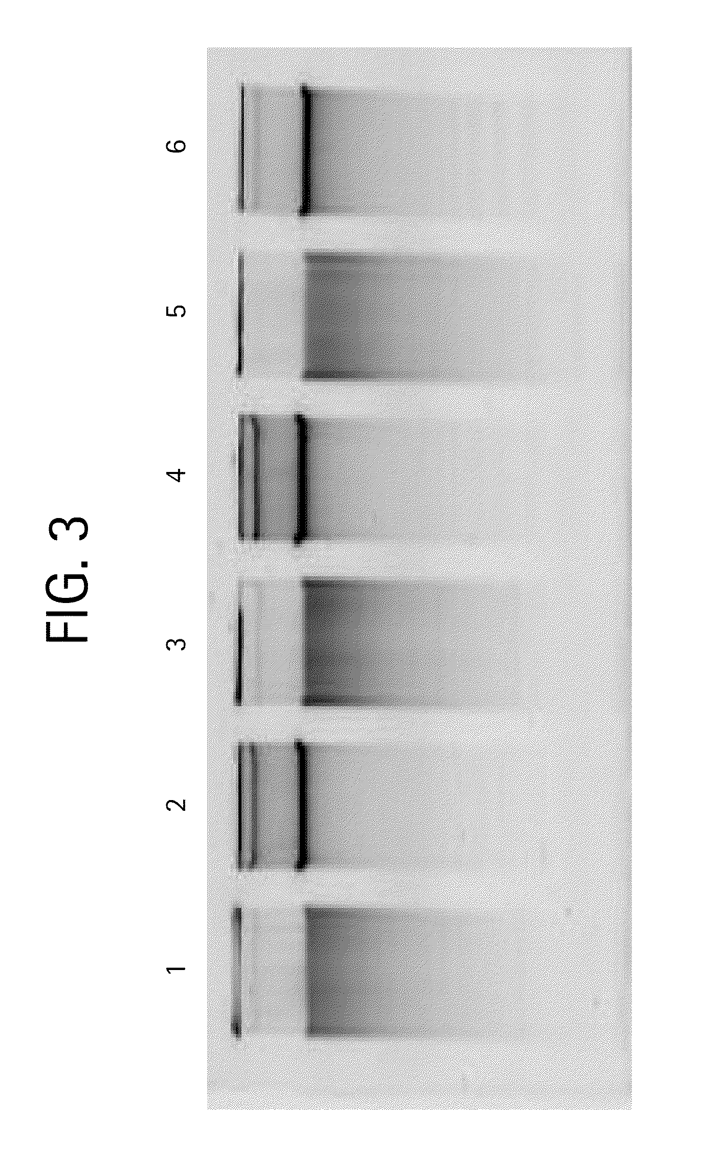 Nucleic acid purification method