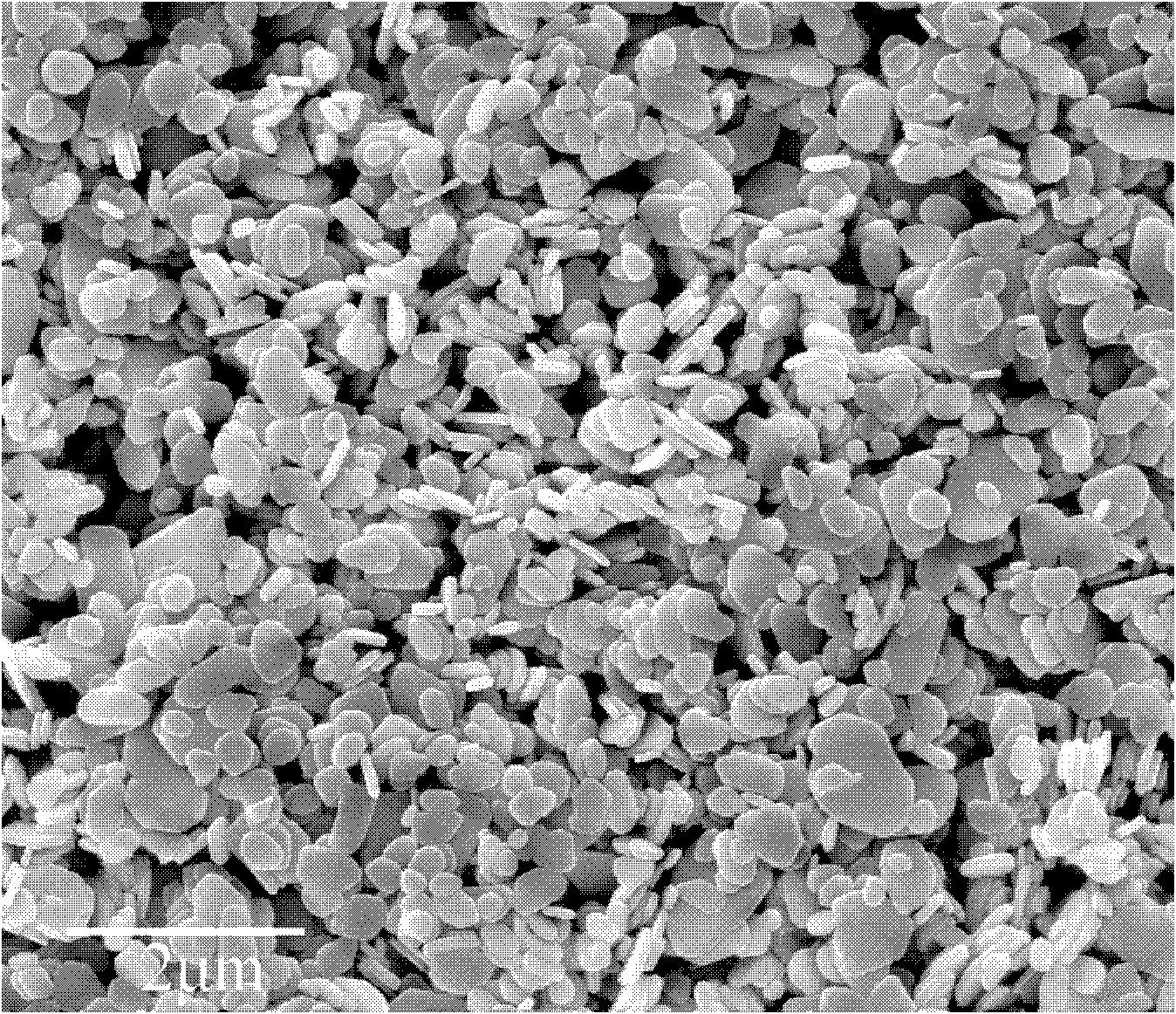 A kind of bismuth oxycarbonate material of nano-micro scale plate and its preparation method