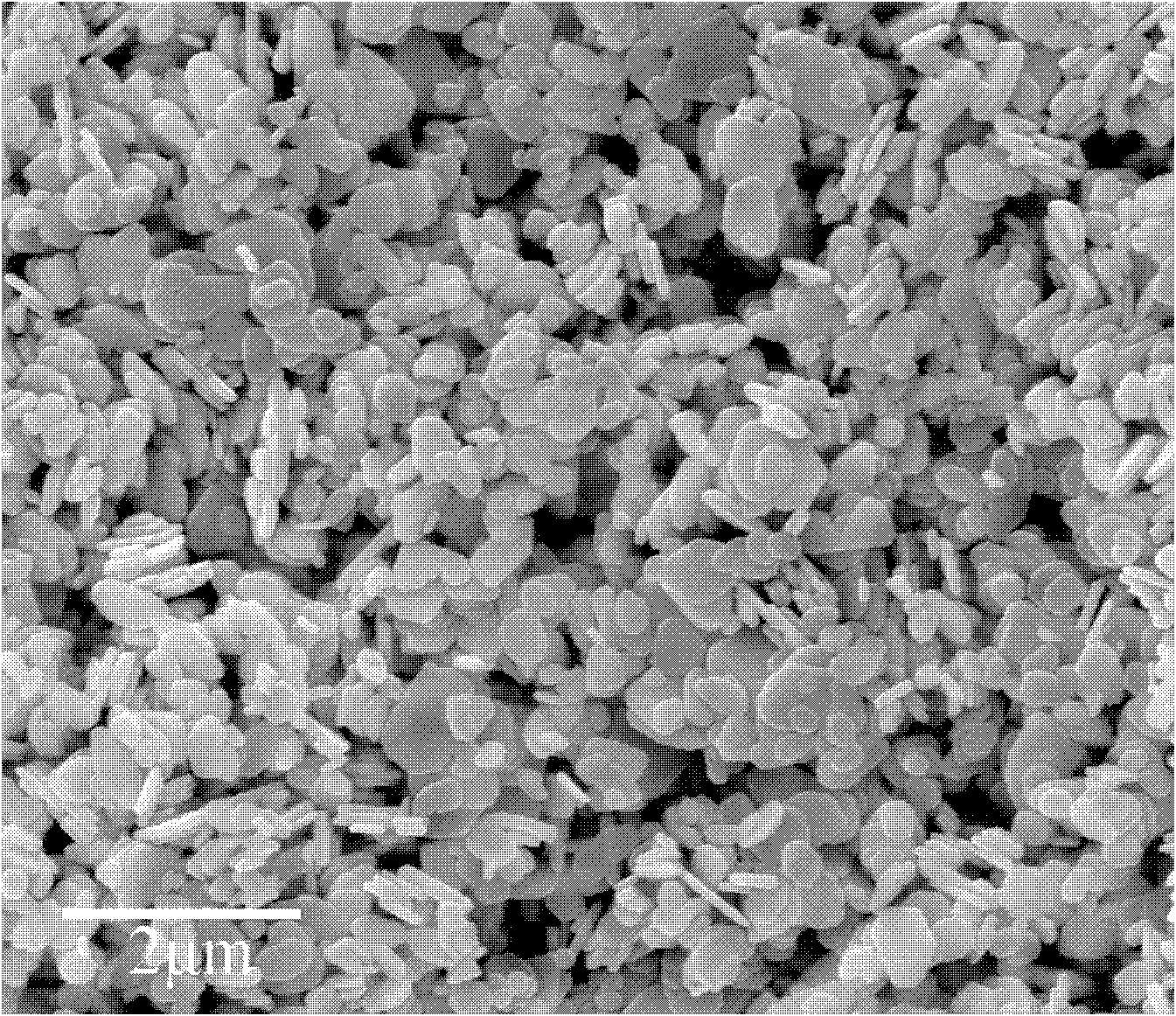 A kind of bismuth oxycarbonate material of nano-micro scale plate and its preparation method