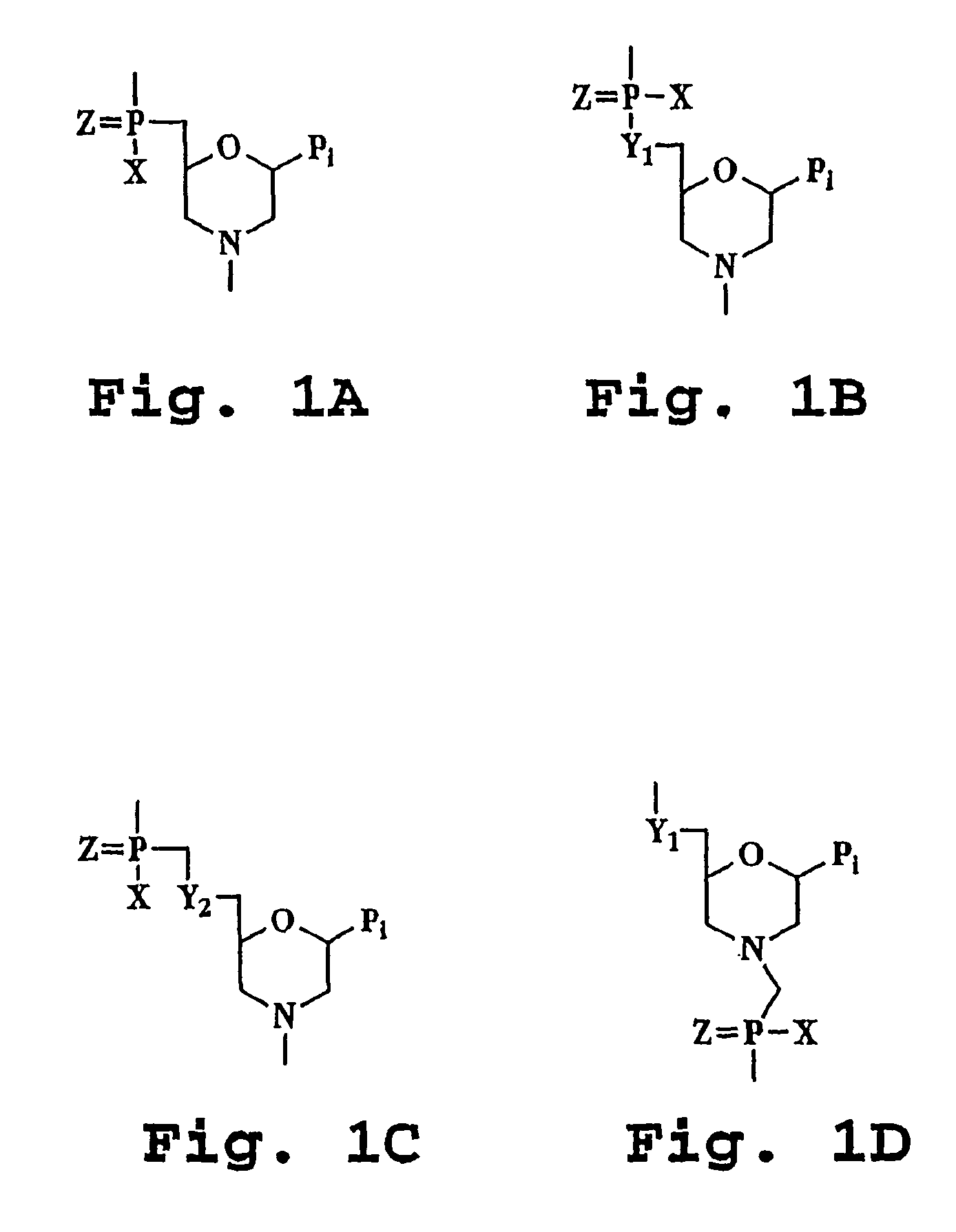 Antisense composition and method for treating muscle atrophy