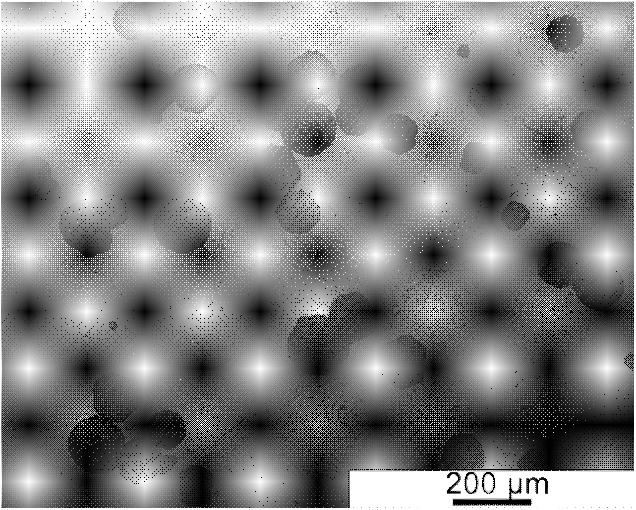 Cuazrbalcmd amorphous alloy composite material with ductile crystal phase and homogenization method of its crystal phase