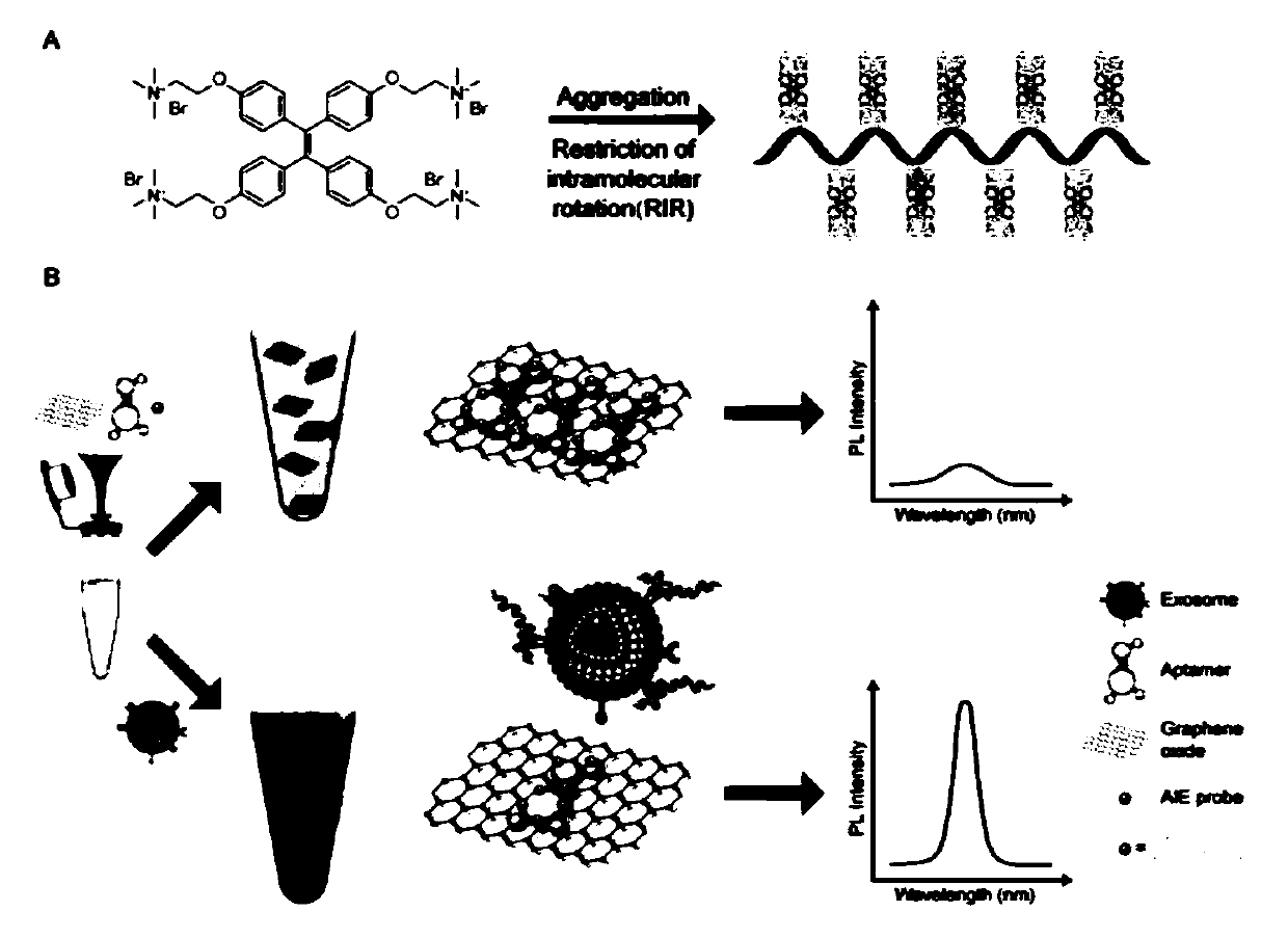 Kit used for tumor exosome nanometer fluorescence detection and application of kit