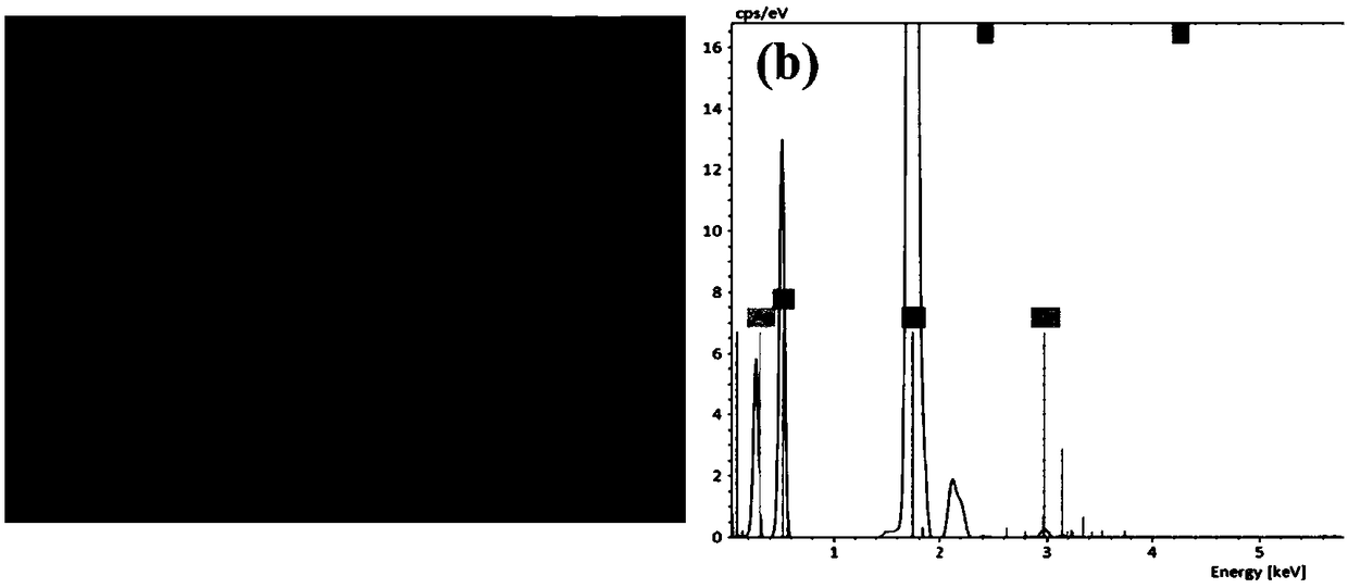 Composite flexible surface enhanced Raman substrate based on silver nanoparticles and preparation method of substrate