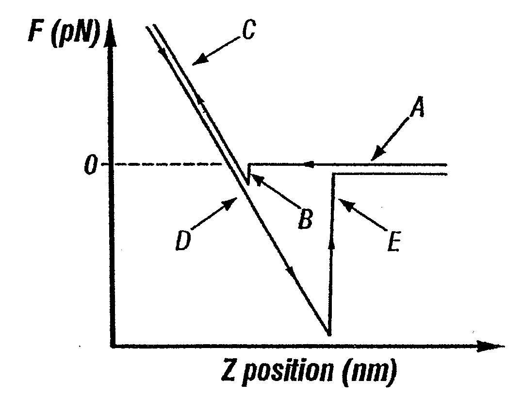 Force scanning probe microscope