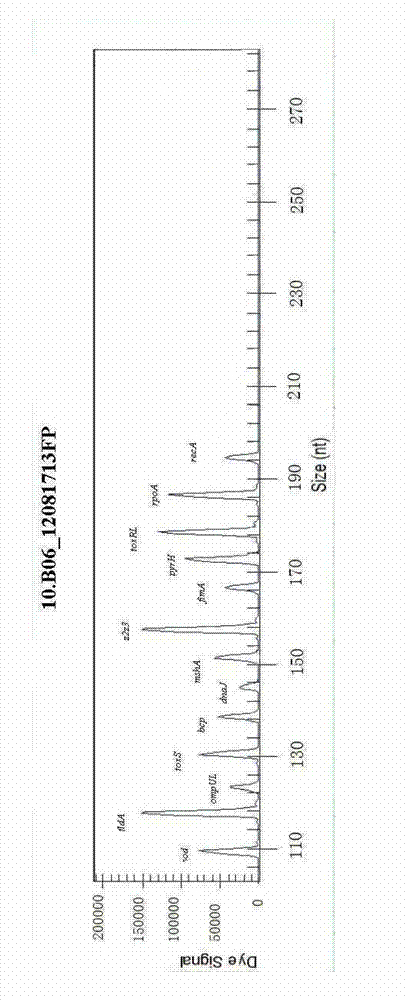 Vibrio shilonii multiple virulence factor GeXP rapid detection kit and detection method thereof