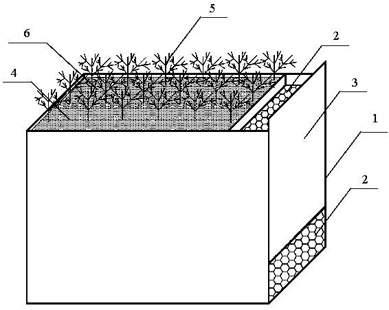 Portable combined constructed wetland purifying box for farmland drainage ditch