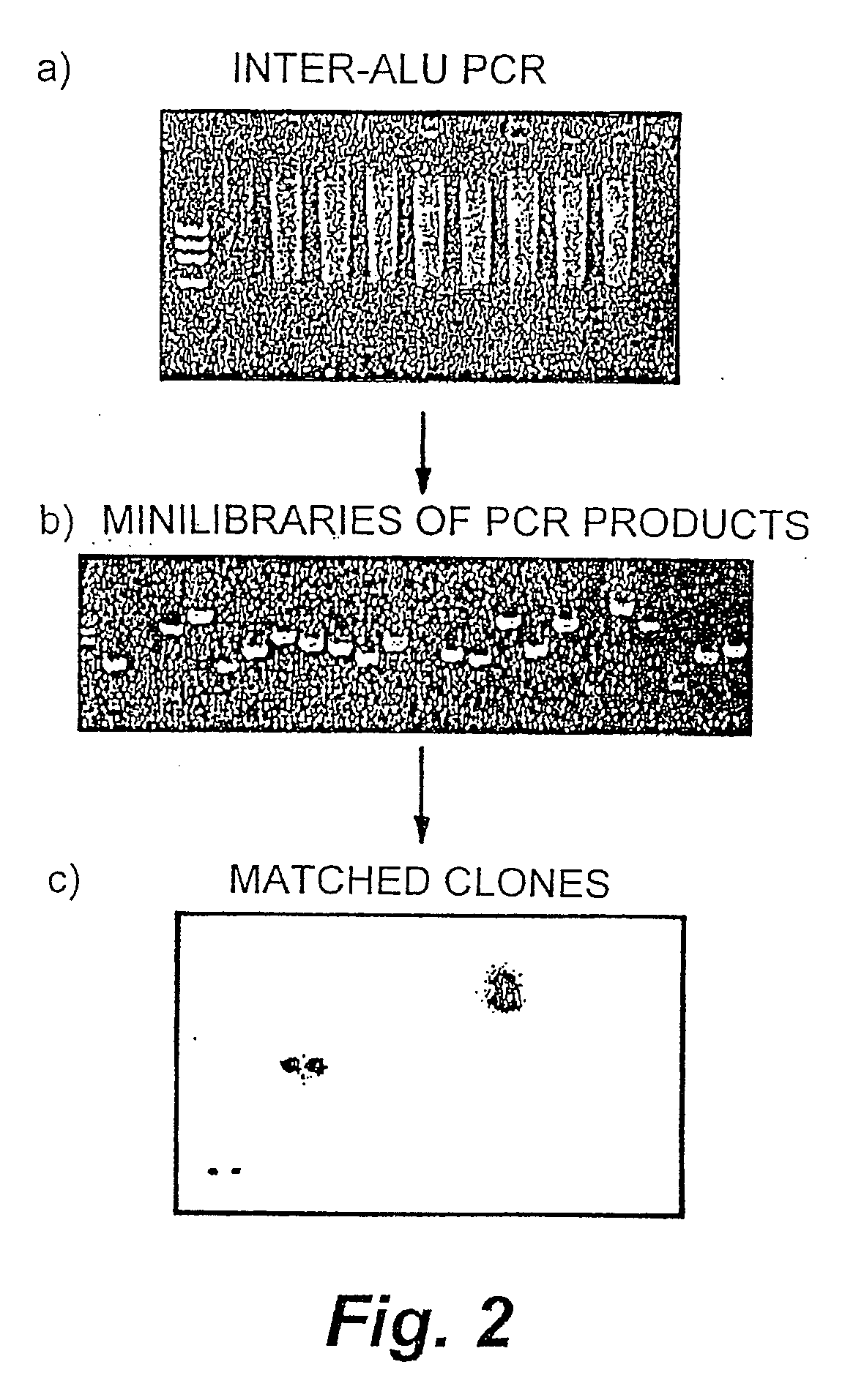 Methods and products related to genotyping and DNA analysis