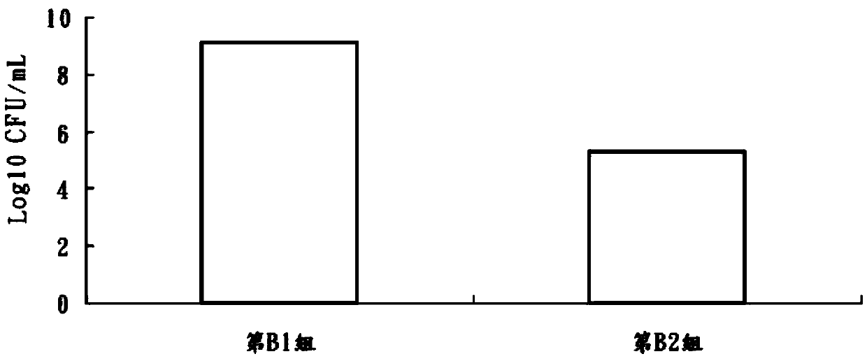 Enterococcus faecium EF08 as well as feed additive and feed containing enterococcus faecium EF08