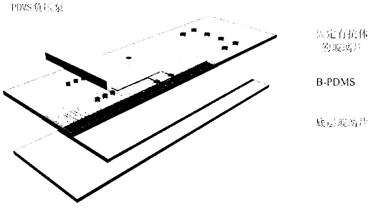 Preparation method of microchip for microprotein detection