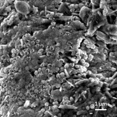 Porous self-supporting PEDOT: PSS conductive film and preparation method thereof