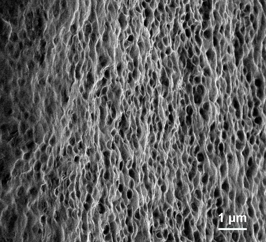 Porous self-supporting PEDOT: PSS conductive film and preparation method thereof