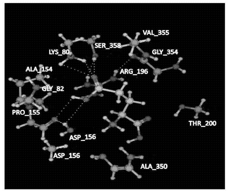 Mutant gene and coding protein of glutamate dehydrogenase of Bacillus natto