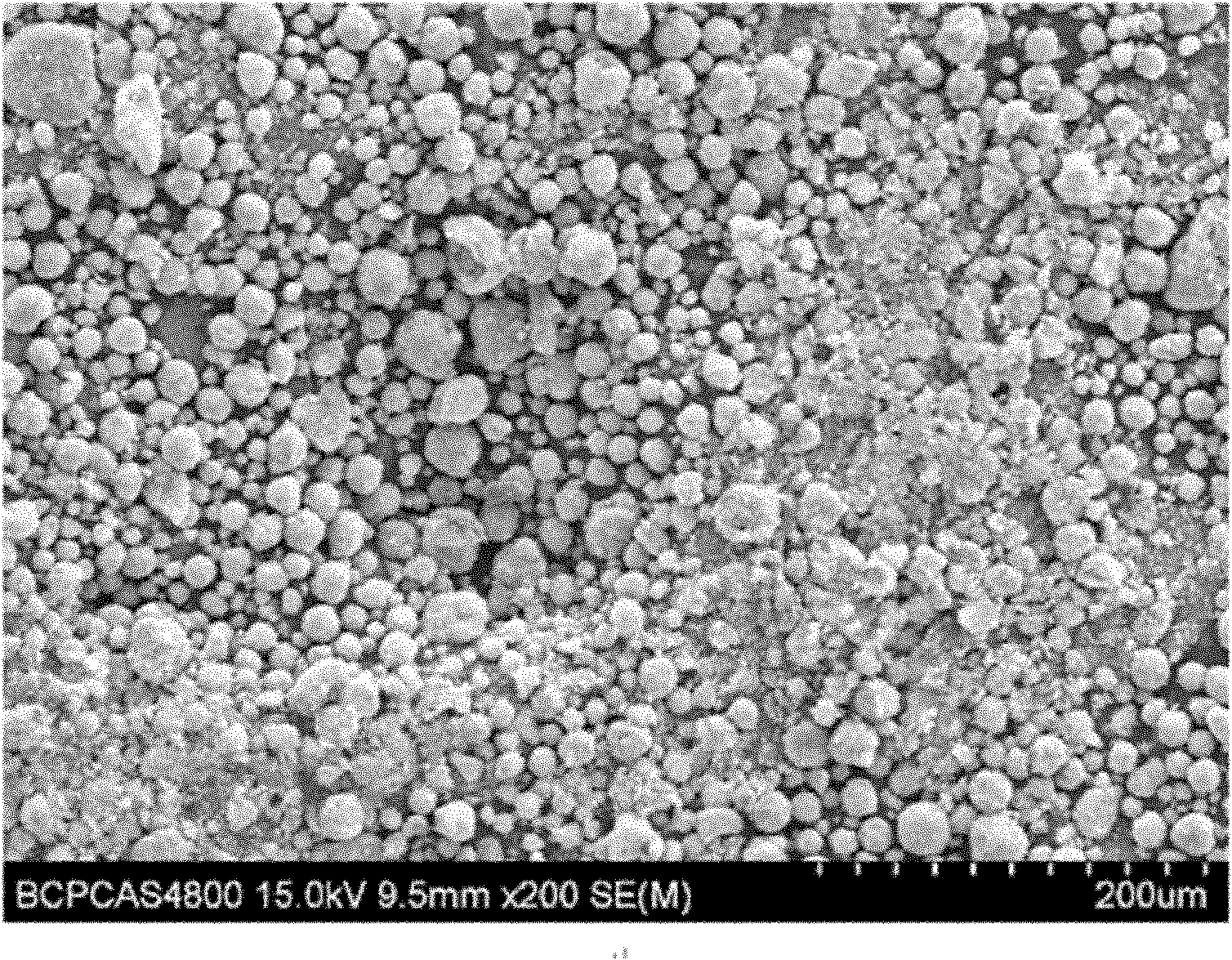 Method for preparing ferrous phosphate radical lithium salt of lithium ion battery