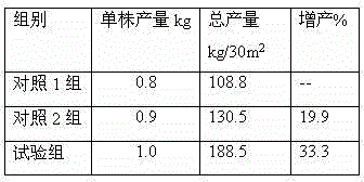 Multi-functional composition for increasing production of tuber crops