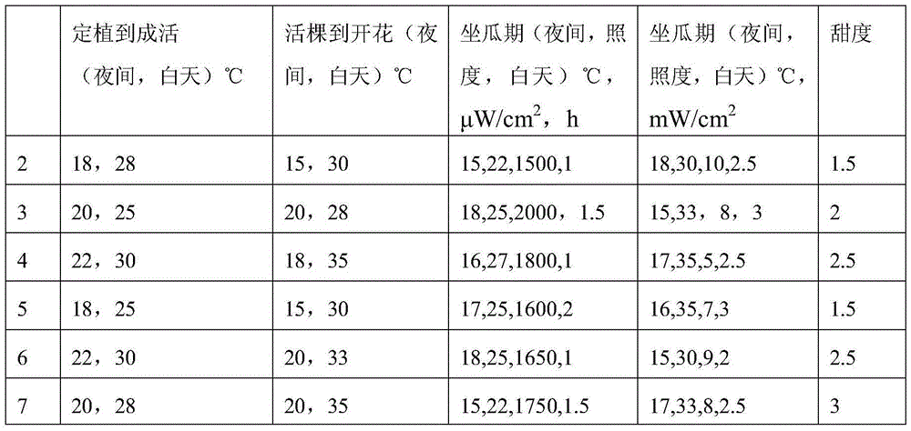 Soilless culture method for high-sugar Hami melons