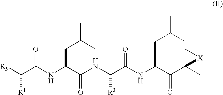 Compounds For Enzyme Inhibition